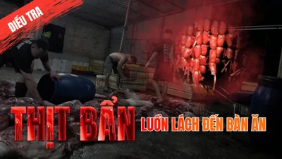 TRAILER ĐIỀU TRA: Thịt bẩn luồn lách đến bữa ăn