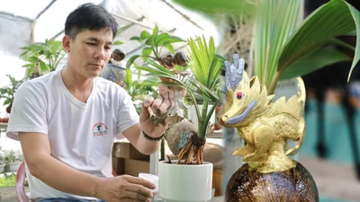 Dừa bonsai tạo hình linh vật rồng