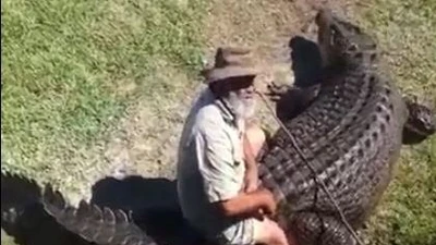 Rùng mình xem cảnh người đàn ông cưỡi trên lưng cá sấu