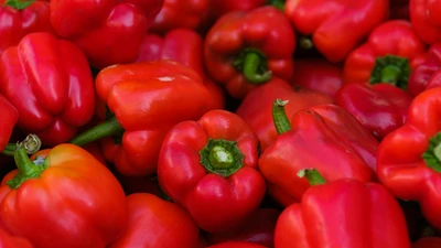 Những thực phẩm hàng đầu giúp cơ thể tăng sức đề kháng và chống bệnh tật