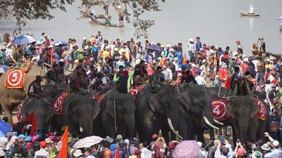 Hàng ngàn khán giả náo nhiệt xem đua voi Đắk Lắk 
