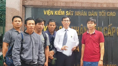 Nóng: Viện Cấp cao kháng nghị giám đốc thẩm vụ cưa gỗ khô