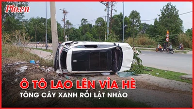 Video: Ô tô lao lên vỉa hè, tông cây xanh rồi lật nhào