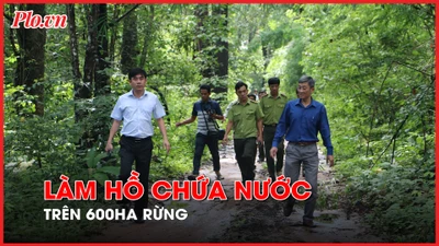 Lãnh đạo Sở NN&PTNT Bình Thuận giải thích về việc làm hồ chứa nước trên 600ha rừng