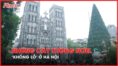 Video: Cận cảnh những cây thông noel 'khổng lồ' ở Hà Nội phục vụ dịp Giáng sinh 2023