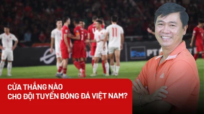 Việt Nam - Indonesia: ‘Ván cờ’ quyết định của HLV Troussier trong lòng người hâm mộ