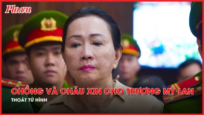 Video: Trương Huệ Vân xin cho cô mình thoát án tử hình