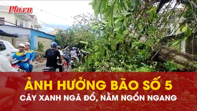 Nghệ An ngổn ngang cây đổ, giao thông ách tắc sau bão số 5