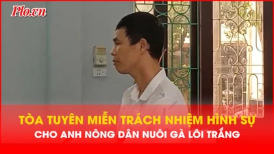 Video: Tòa phúc thẩm tuyên án vụ người đàn ông nuôi gà lôi trắng 