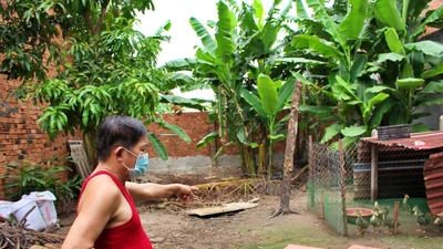 Trộm viếng 5 lần trong 1 tháng, gia chủ mất sạch gà, thỏ, bồ câu…