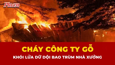 Hiện trường vụ cháy công ty gỗ tại TP.HCM