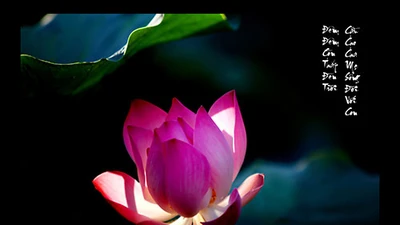 “Ngồi buồn nhớ mẹ ta xưa” - bài thơ hay viết về Mẹ