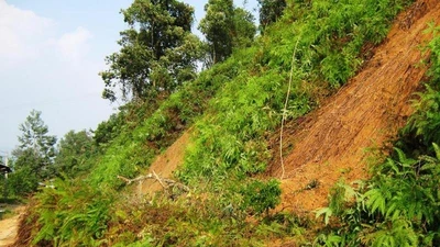  Quảng Nam: Mưa lớn, nhiều khu vực bị ngập nước