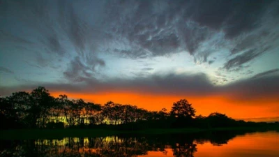 Ấn tượng với những bức ảnh hiếm về rừng rậm Amazon