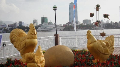 Đà Nẵng rực rỡ sẵn sàng đón xuân