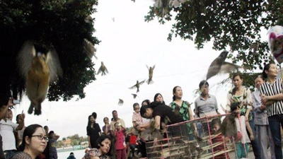 Phóng sinh hay sát sinh?