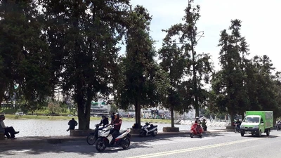 Bão số 12: Đà Lạt trời vẫn đẹp 