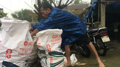 Nước mắt người nuôi cá lồng khi cơn lũ tràn về