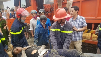 Sập giàn giáo, bới tìm nhiều công nhân từ đống đổ nát