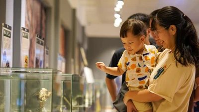 Du khách thích thú với triển lãm hóa thạch tại Huế