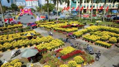 Ngắm diện mạo rực rỡ của Cố đô Huế trong sắc hoa Xuân Bính Ngọ