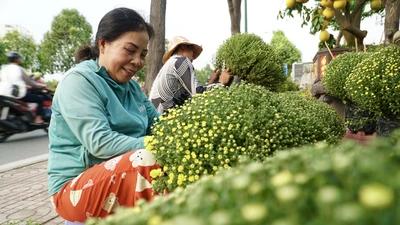  Ngập tràn cây cảnh trên đại lộ đẹp nhất TP Thủ Đức