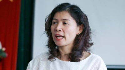 Đoàn Luật sư TP.HCM tạm đình chỉ tư cách luật sư đối với bà Hàn Ni