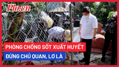 TP.HCM: Phòng chống dịch sốt xuất huyết đừng chủ quan, lơ là