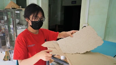 Video: Độc đáo giấy làm từ… phân voi