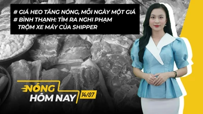 Nóng hôm nay: Giá heo tăng, mỗi ngày một giá 
