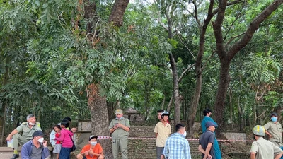 Video: Phát hiện người đàn ông tử vong trong tư thế treo cổ trên đồi