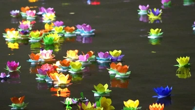 Clip: Hoa đăng rực sáng trên sông Sài Gòn