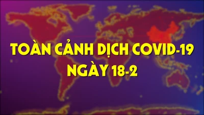 Xem toàn cảnh dịch COVID-19 ngày 18-2