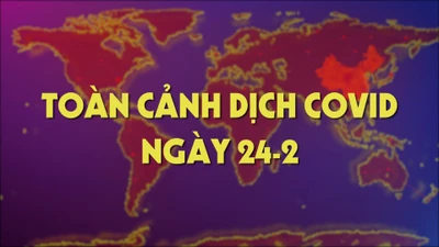 Toàn cảnh dịch COVID-19 ngày 24-2