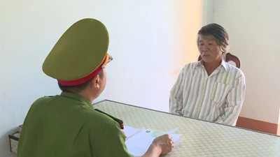 Khởi tố đối tượng trồng trái phép hơn 1000 cây cần sa 