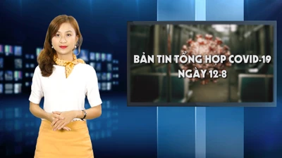 Bản tin tổng hợp COVID-19 tính đến trưa ngày 12-8