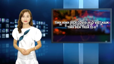 Tình hình dịch COVID-19 ở Việt Nam tính đến trưa 25-8