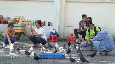  Nhiều người vẫn thờ ơ với việc đeo khẩu trang nơi công cộng