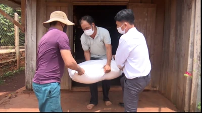 Video: Tỉnh Đắk Lắk cấp phát hơn 534 tấn gạo đến tận tay người dân 
