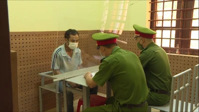 Video: Khởi tố nhóm người lợi dụng dịch COVID-19 để phá rừng