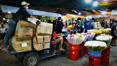 Video: Trắng đêm tại chợ hoa lớn nhất TP.HCM ngày giáp Tết