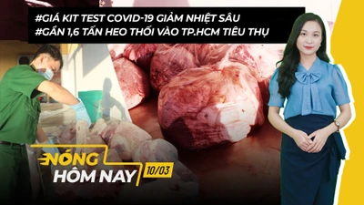 Nóng hôm nay: Giá kit test COVID-19 giảm nhiệt sau cơn ‘sốt’
