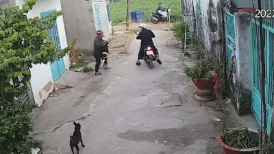 Video: Nhóm trộm chó lộng hành, bắt gần hết chó ở một khu vực 
