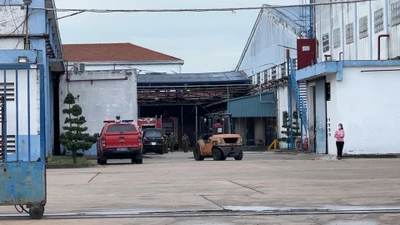 Video: Cháy công ty gỗ ở Bình Dương