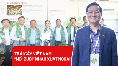Trái cây Việt Nam 'nối đuôi' nhau xuất ngoại