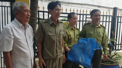 Video: Bắt được con khỉ ‘đại náo’ ở quận 7 sau 3 lần phục kích