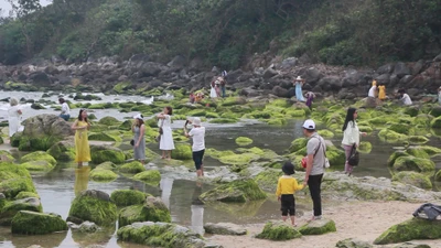 Video: Bãi rêu Nam Ô vương vãi rác thải