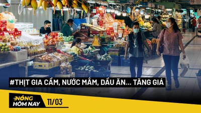 Nóng hôm nay: Thịt gia cầm, nước mắm, dầu ăn... tăng giá