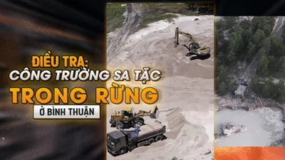 Trailler điều tra: 'Công trường sa tặc' trong rừng ở Bình Thuận