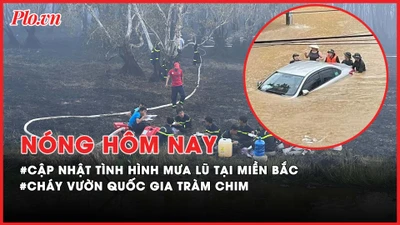 Nóng hôm nay: Cập nhật tình hình mưa lũ ở miền Bắc; Cháy tại Vườn quốc gia Tràm Chim